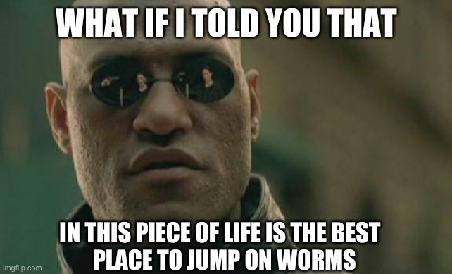 Matrix Morpheus Meme | WHAT IF I TOLD YOU THAT; IN THIS PIECE OF LIFE IS THE BEST 
 PLACE TO JUMP ON WORMS | image tagged in memes,matrix morpheus | made w/ Imgflip meme maker