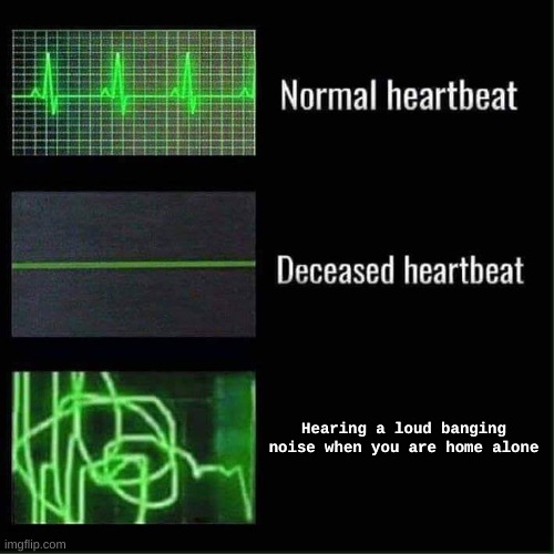 The third is the worst | Hearing a loud banging noise when you are home alone | image tagged in heartbeat | made w/ Imgflip meme maker