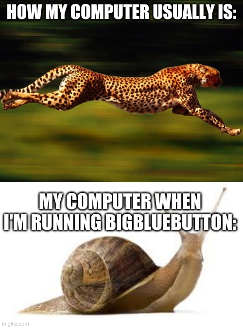 For Those Of You Who Don't Know, BigBlueButton Is Kinda Like Zoom | HOW MY COMPUTER USUALLY IS:; MY COMPUTER WHEN I'M RUNNING BIGBLUEBUTTON: | image tagged in cheetah,snail | made w/ Imgflip meme maker