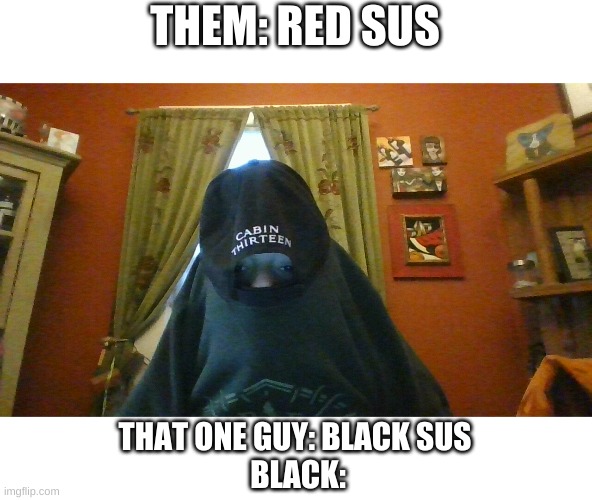 THEM: RED SUS; THAT ONE GUY: BLACK SUS
 BLACK: | image tagged in among us,red sus,black sus | made w/ Imgflip meme maker