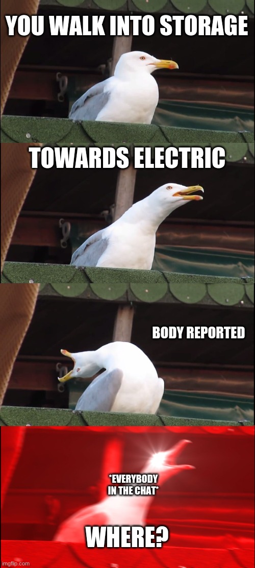 There Is An Imposter Among Us | YOU WALK INTO STORAGE; TOWARDS ELECTRIC; BODY REPORTED; *EVERYBODY IN THE CHAT*; WHERE? | image tagged in memes,inhaling seagull | made w/ Imgflip meme maker