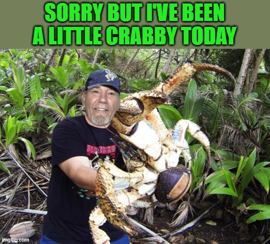 a little crabby | SORRY BUT I'VE BEEN A LITTLE CRABBY TODAY | image tagged in crab,kewlew | made w/ Imgflip meme maker