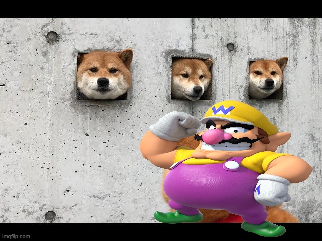 Wario fails to answer Doge's riddles, and perishes as a result | image tagged in doge,wario,riddle me this | made w/ Imgflip meme maker