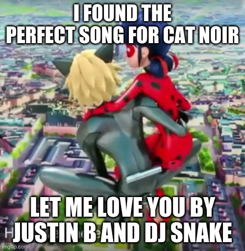 its perfect | I FOUND THE PERFECT SONG FOR CAT NOIR; LET ME LOVE YOU BY JUSTIN B AND DJ SNAKE | image tagged in miraculous ladybug | made w/ Imgflip meme maker