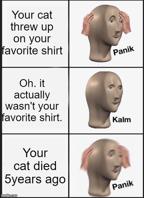 Panik Kalm Panik Meme | Your cat threw up on your favorite shirt; Oh. it actually wasn't your favorite shirt. Your cat died 5years ago | image tagged in memes,panik kalm panik | made w/ Imgflip meme maker