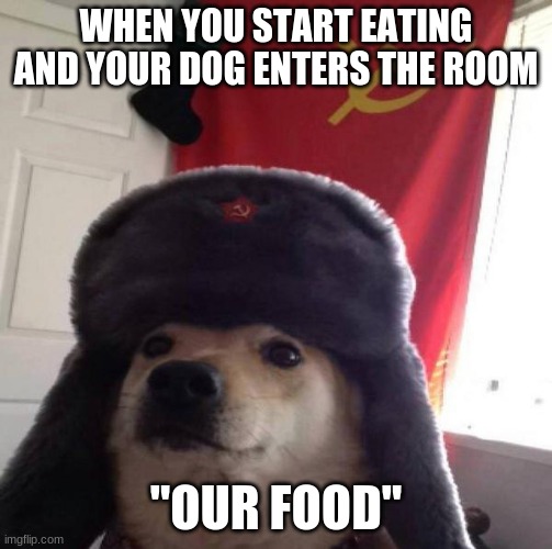 Russian Doge | WHEN YOU START EATING AND YOUR DOG ENTERS THE ROOM; "OUR FOOD" | image tagged in russian doge | made w/ Imgflip meme maker