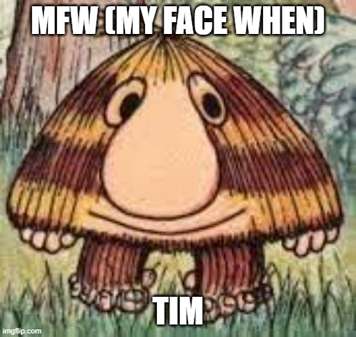TIm | MFW (MY FACE WHEN); TIM | image tagged in the amazing race canada,tim | made w/ Imgflip meme maker