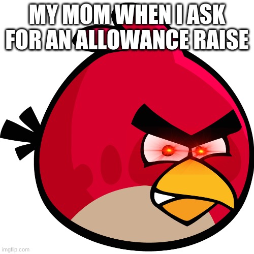 i- im scared | MY MOM WHEN I ASK FOR AN ALLOWANCE RAISE | image tagged in angry birds,mom | made w/ Imgflip meme maker