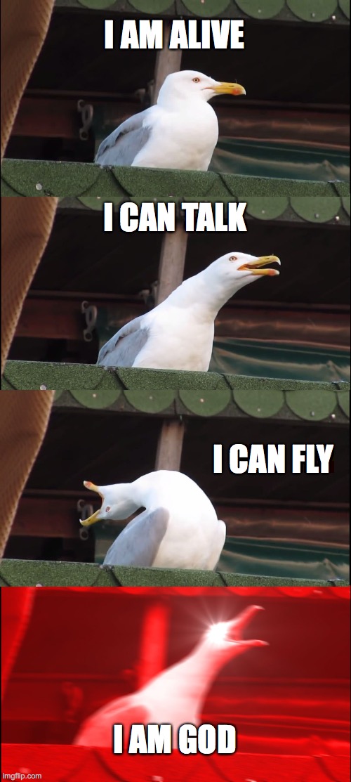 Inhaling Seagull | I AM ALIVE; I CAN TALK; I CAN FLY; I AM GOD | image tagged in memes,inhaling seagull | made w/ Imgflip meme maker