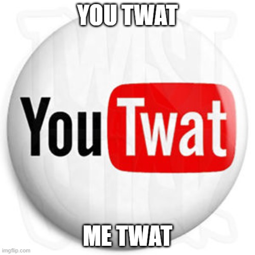YouTwat | YOU TWAT; ME TWAT | image tagged in twat,youtwat | made w/ Imgflip meme maker