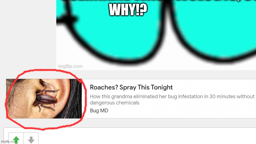 Just Why Ads | WHY!? | image tagged in ads,cursed | made w/ Imgflip meme maker