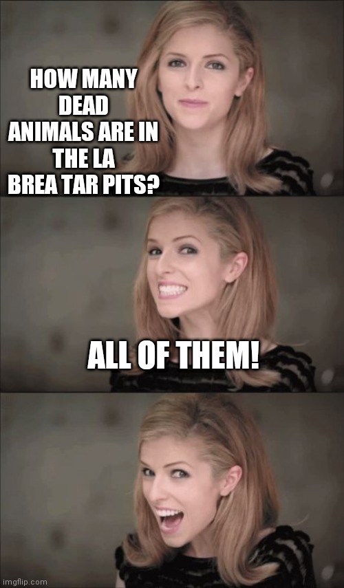 More bad jokes | HOW MANY DEAD ANIMALS ARE IN THE LA BREA TAR PITS? ALL OF THEM! | image tagged in memes,bad pun anna kendrick | made w/ Imgflip meme maker