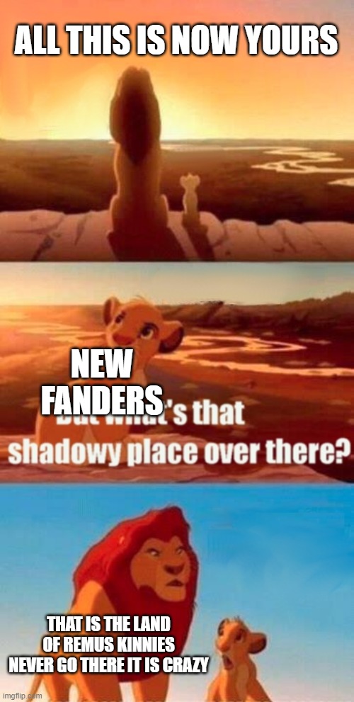 Sander Sides Meme | ALL THIS IS NOW YOURS; NEW FANDERS; THAT IS THE LAND OF REMUS KINNIES NEVER GO THERE IT IS CRAZY | image tagged in memes,simba shadowy place | made w/ Imgflip meme maker