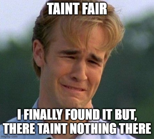 Taint Fair | TAINT FAIR; I FINALLY FOUND IT BUT, THERE TAINT NOTHING THERE | image tagged in memes,1990s first world problems | made w/ Imgflip meme maker