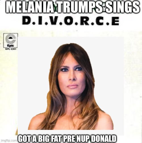 Not standing by her Orange MAGA man no more | MELANIA TRUMPS SINGS; GOT A BIG FAT PRE NUP DONALD | image tagged in donald trump,melania trump,divorce,funny,gold digger,bye bye | made w/ Imgflip meme maker