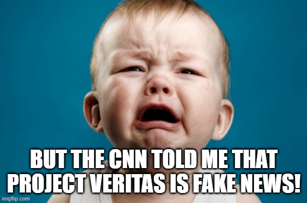 Project V for Victory. | BUT THE CNN TOLD ME THAT PROJECT VERITAS IS FAKE NEWS! | image tagged in waaaaahhhhhh | made w/ Imgflip meme maker