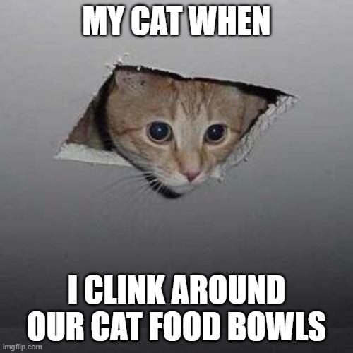 Ceiling Cat | MY CAT WHEN; I CLINK AROUND OUR CAT FOOD BOWLS | image tagged in memes,ceiling cat | made w/ Imgflip meme maker