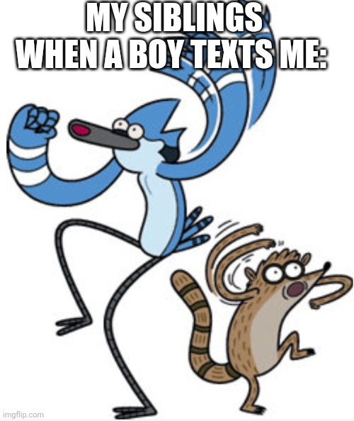 And make cringe jokes | MY SIBLINGS WHEN A BOY TEXTS ME: | image tagged in mordecai and rigby oooooohhhhh | made w/ Imgflip meme maker