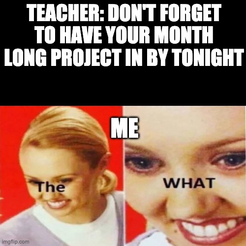 The What | TEACHER: DON'T FORGET TO HAVE YOUR MONTH LONG PROJECT IN BY TONIGHT; ME | image tagged in the what | made w/ Imgflip meme maker