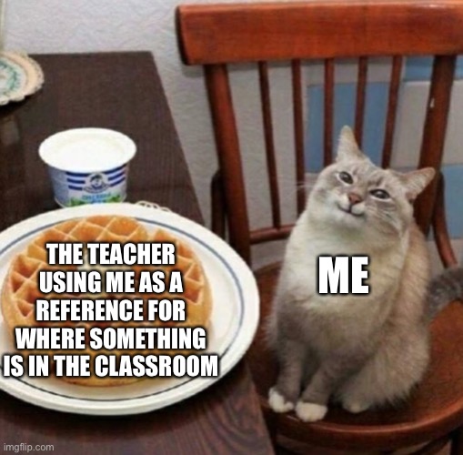 “The whiteboard is by where Jon is sitting” | THE TEACHER USING ME AS A REFERENCE FOR WHERE SOMETHING IS IN THE CLASSROOM; ME | image tagged in happy cat with waffle | made w/ Imgflip meme maker