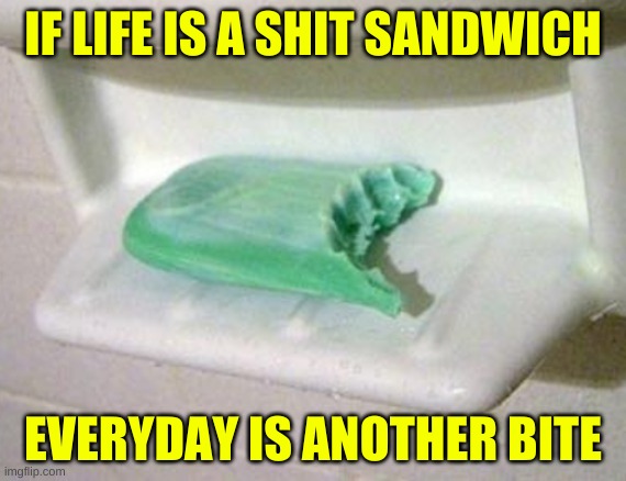 soap bite | IF LIFE IS A SHIT SANDWICH; EVERYDAY IS ANOTHER BITE | image tagged in soap bite,soap,grossed out,bathroom,life sucks,giant douche/turd sandwich | made w/ Imgflip meme maker