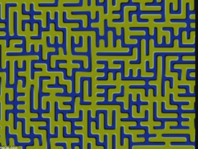 Not A GIF | image tagged in optical illusion | made w/ Imgflip meme maker