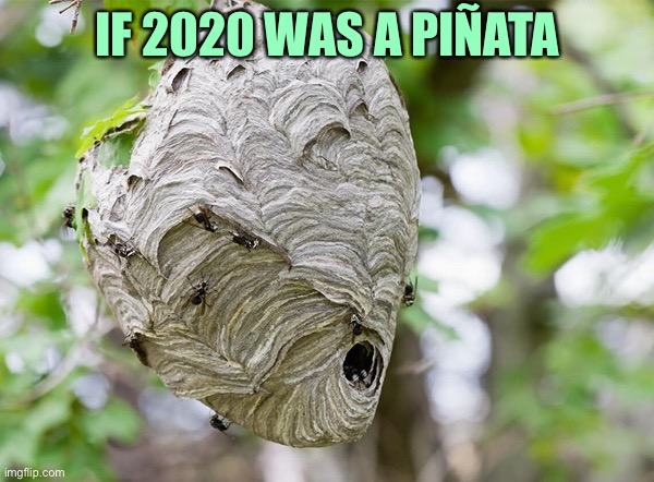 its a wasp nest | IF 2020 WAS A PIÑATA | image tagged in memes | made w/ Imgflip meme maker