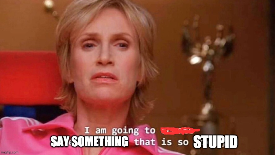Sue Sylvester | STUPID; SAY SOMETHING | image tagged in sue sylvester | made w/ Imgflip meme maker