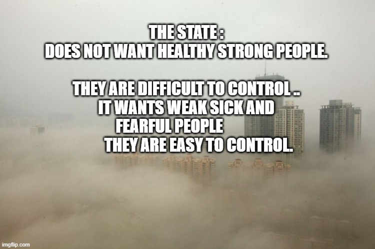 China Pollution | THE STATE :
DOES NOT WANT HEALTHY STRONG PEOPLE.                         THEY ARE DIFFICULT TO CONTROL ..
IT WANTS WEAK SICK AND FEARFUL PEOPLE                     THEY ARE EASY TO CONTROL. | image tagged in china pollution | made w/ Imgflip meme maker