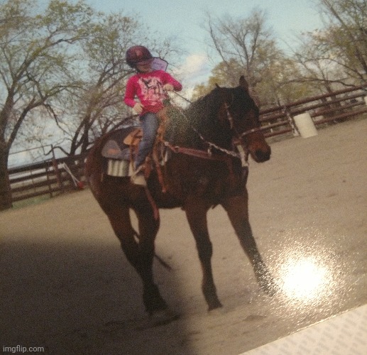 Ah yes, 5 year old me riding a horse | made w/ Imgflip meme maker