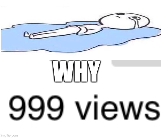 999 veiws | WHY | image tagged in funny memes | made w/ Imgflip meme maker