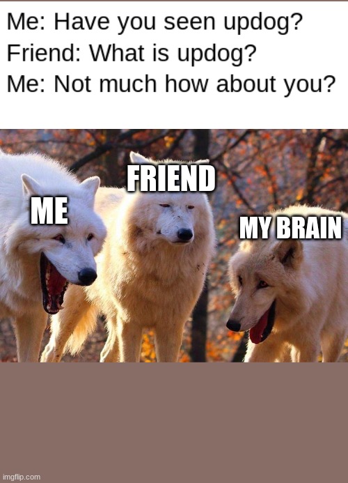 Laughing dogs with pissed dog | FRIEND; ME; MY BRAIN | image tagged in laughing dogs with pissed dog | made w/ Imgflip meme maker