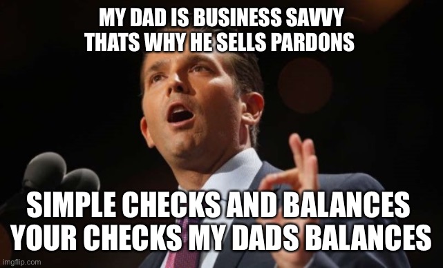 It’s not fraud, capitalism | MY DAD IS BUSINESS SAVVY THATS WHY HE SELLS PARDONS; SIMPLE CHECKS AND BALANCES 
YOUR CHECKS MY DADS BALANCES | image tagged in donald trump jr,donald trump,fraud,bribes,money,evil | made w/ Imgflip meme maker