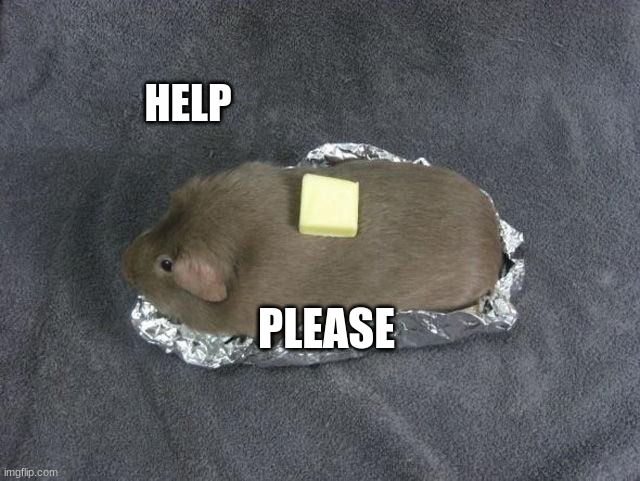 help | HELP; PLEASE | image tagged in memes | made w/ Imgflip meme maker