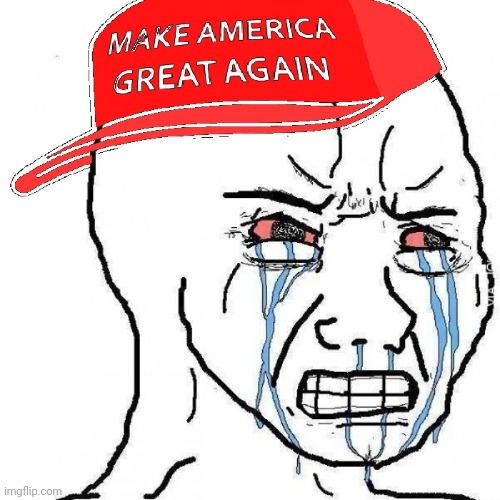 Crying wojak maga | image tagged in crying wojak maga | made w/ Imgflip meme maker