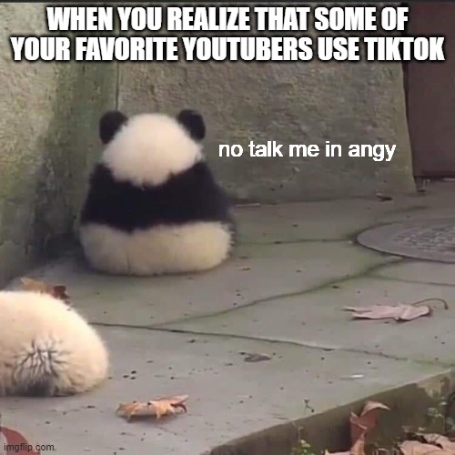Sad but true ('T-T') | WHEN YOU REALIZE THAT SOME OF YOUR FAVORITE YOUTUBERS USE TIKTOK; no talk me in angy | image tagged in no talk me im angy,tiktok | made w/ Imgflip meme maker