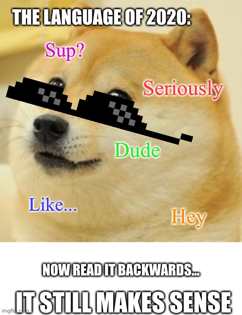 THE LANGUAGE OF 2020:; Sup? Seriously; Dude; Like... Hey; NOW READ IT BACKWARDS... IT STILL MAKES SENSE | image tagged in memes,doge | made w/ Imgflip meme maker