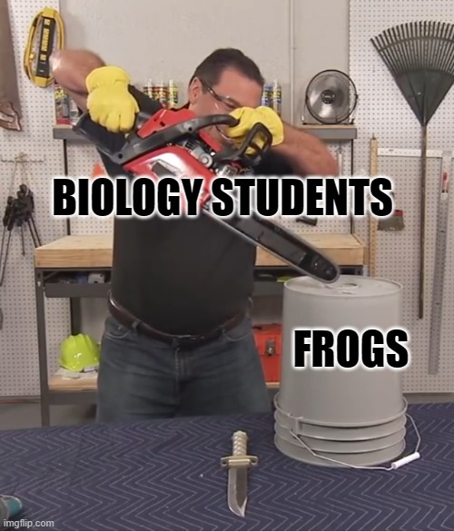 That’s a lot of damage | BIOLOGY STUDENTS; FROGS | image tagged in that s a lot of damage | made w/ Imgflip meme maker