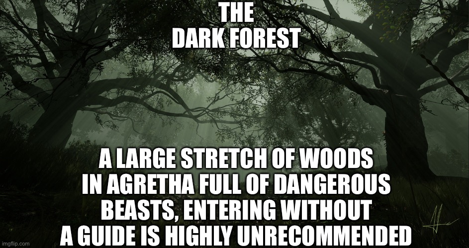 Dark Forest of Agretha | THE DARK FOREST; A LARGE STRETCH OF WOODS IN AGRETHA FULL OF DANGEROUS BEASTS, ENTERING WITHOUT A GUIDE IS HIGHLY UNRECOMMENDED | made w/ Imgflip meme maker
