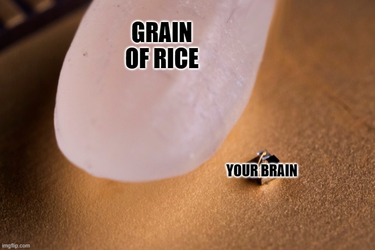 Grain Of Rice | GRAIN OF RICE YOUR BRAIN | image tagged in grain of rice | made w/ Imgflip meme maker