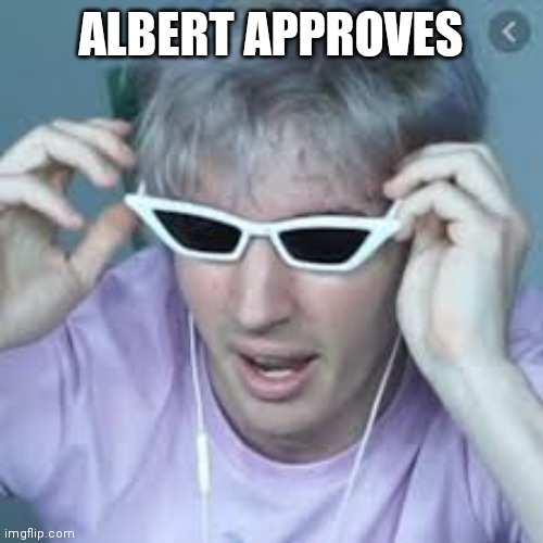 gucci | ALBERT APPROVES | image tagged in gucci | made w/ Imgflip meme maker
