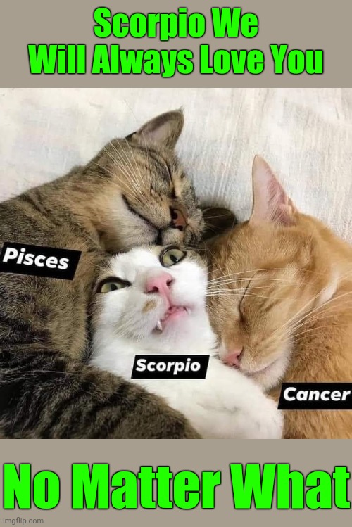 Water Signs ❤️ | Scorpio We Will Always Love You; No Matter What | image tagged in memes,astrology,scorpios,pisces,cancers,water signs | made w/ Imgflip meme maker