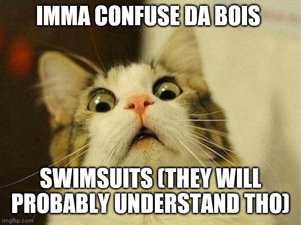 Scared Cat | IMMA CONFUSE DA BOIS; SWIMSUITS (THEY WILL PROBABLY UNDERSTAND THO) | image tagged in memes,scared cat | made w/ Imgflip meme maker