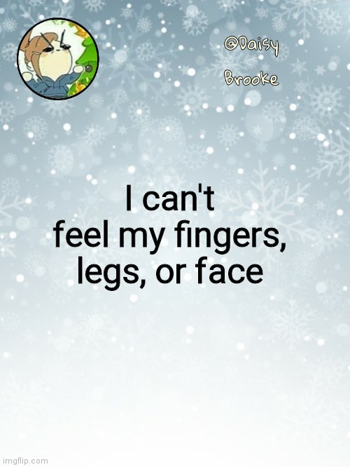 Daisy's Christmas template | I can't feel my fingers, legs, or face | image tagged in daisy's christmas template | made w/ Imgflip meme maker