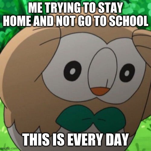 Rowlet Meme Template | ME TRYING TO STAY HOME AND NOT GO TO SCHOOL; THIS IS EVERY DAY | image tagged in rowlet meme template | made w/ Imgflip meme maker