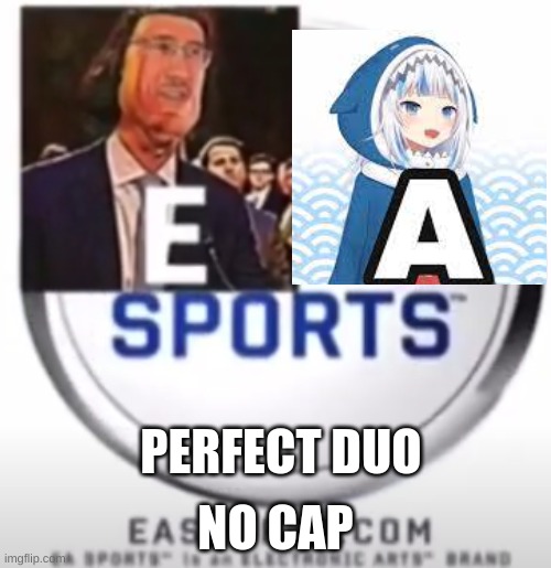 Gud duo | NO CAP; PERFECT DUO | image tagged in funny memes | made w/ Imgflip meme maker