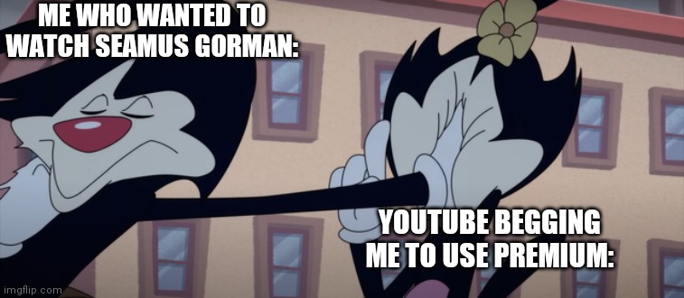 SHUSH | ME WHO WANTED TO WATCH SEAMUS GORMAN:; YOUTUBE BEGGING ME TO USE PREMIUM: | image tagged in animaniacs ignore | made w/ Imgflip meme maker