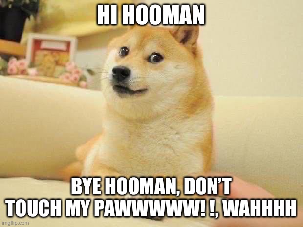 Dodge | HI HOOMAN; BYE HOOMAN, DON’T TOUCH MY PAWWWWW! !, WAHHHH | image tagged in memes,doge 2 | made w/ Imgflip meme maker