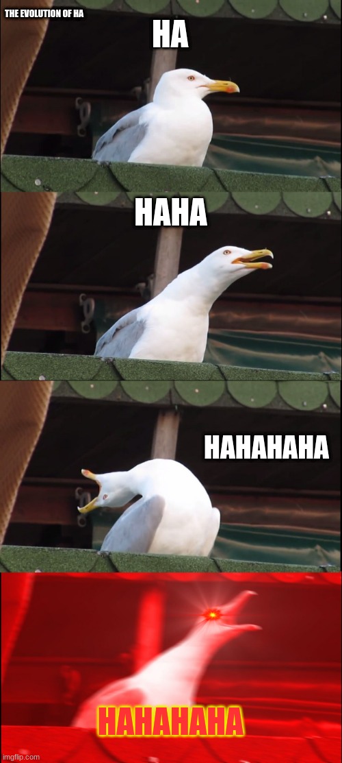 Inhaling Seagull Meme | THE EVOLUTION OF HA; HA; HAHA; HAHAHAHA; HAHAHAHA | image tagged in memes,inhaling seagull | made w/ Imgflip meme maker