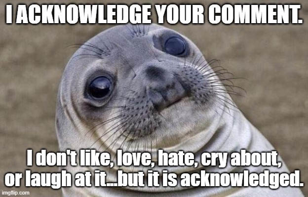 I acknowledge your comment | I ACKNOWLEDGE YOUR COMMENT. I don't like, love, hate, cry about, or laugh at it...but it is acknowledged. | image tagged in acknowledged,comments,awkward,dislike,sealine | made w/ Imgflip meme maker